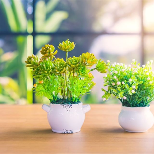 pixta_47870493_M_800