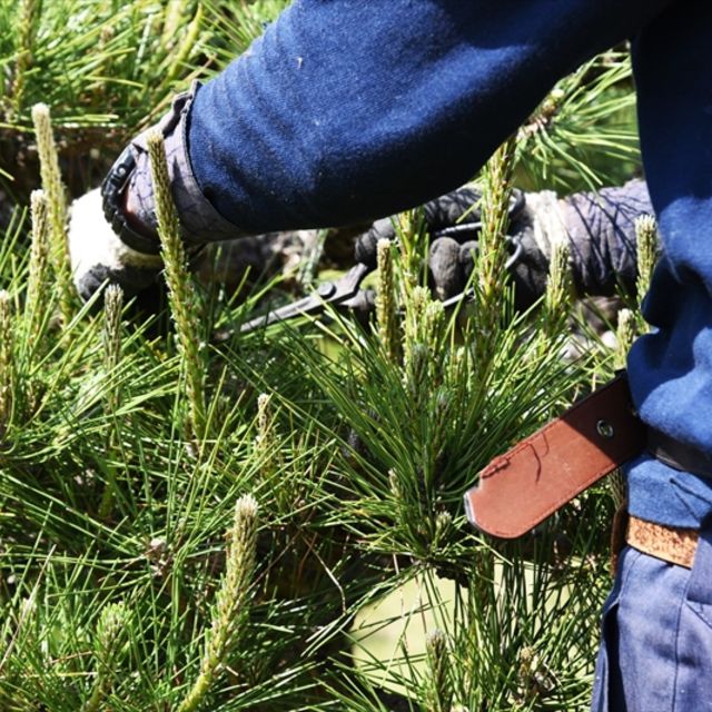 pixta_50778779_M_800